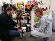 IMG201709171413431