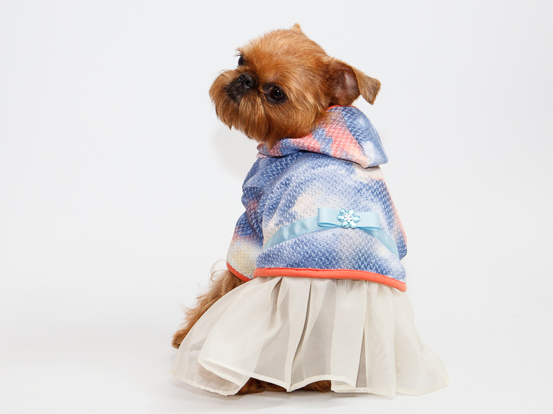 Kostīms sunitīm  Jaciņa ar kapuci un svārciņiem, S