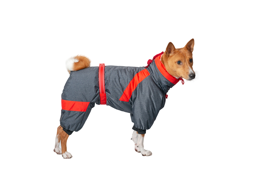 Aramis  suņu ziemas apģērbs.Siltināts ziemas suņu kombinezons, L