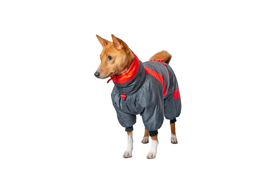 Aramis  suņu ziemas apģērbs.Siltināts ziemas suņu kombinezons, L