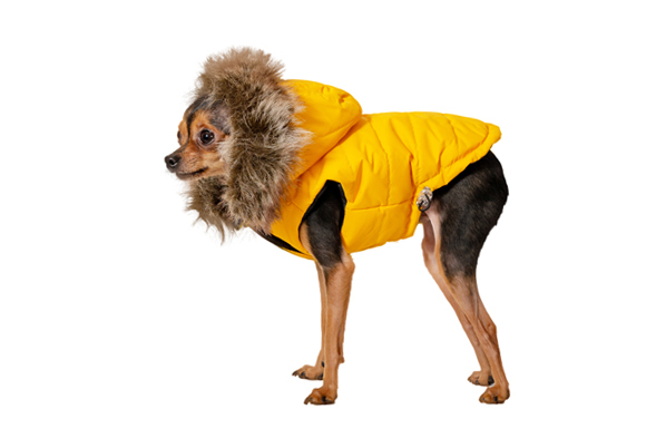 Aramis suņu apģērbs ziemas jaciņa ar kapuci