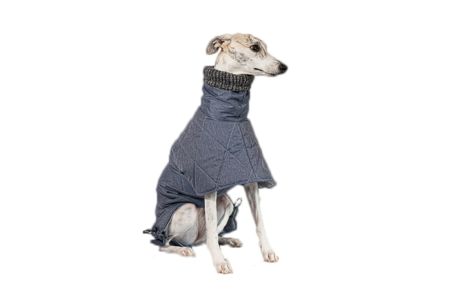 Aramis suņu ziemas veste-metēlis,XL