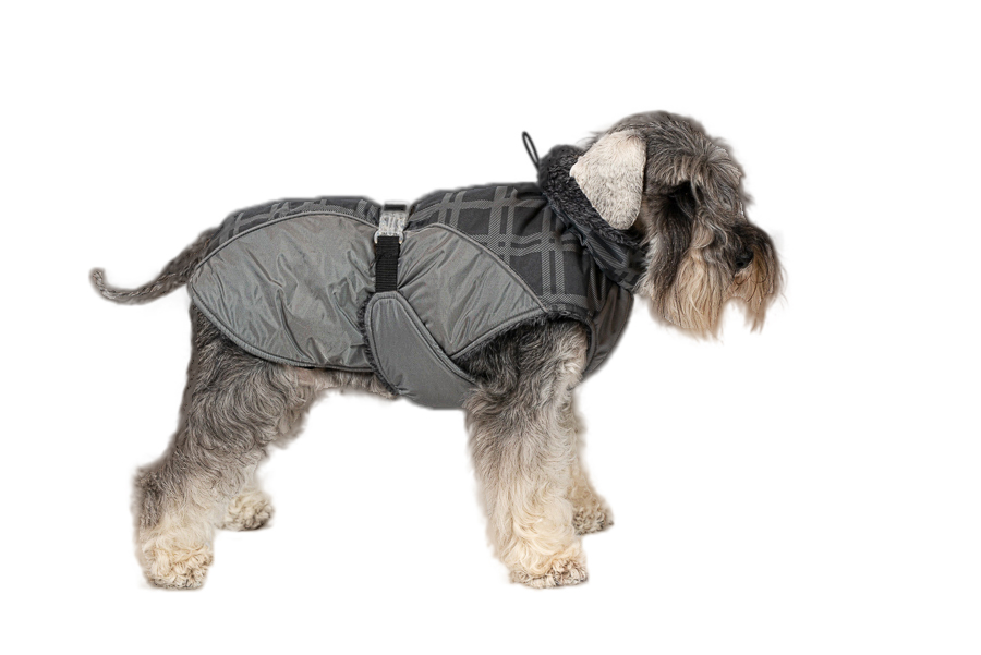 Aramis suņu ziemas veste-metēlis, M