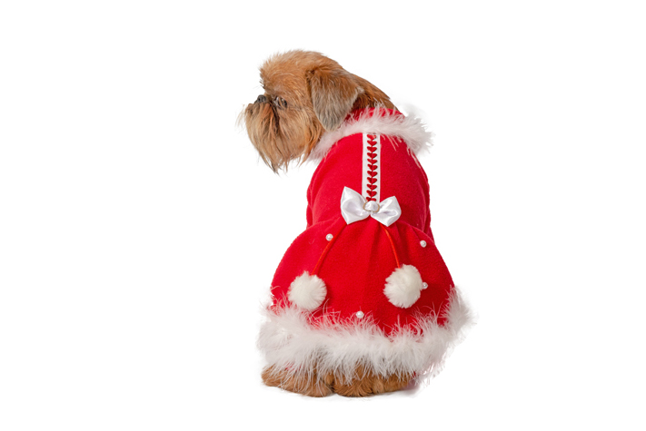 Ziemasssvētku kleitiņa sunītim, S