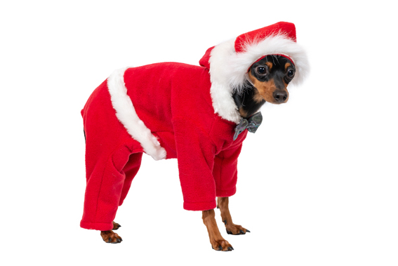 Ziemasssvētku kleitiņa sunītim, S