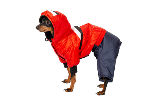 Siltināts suņu ziemas kombinezons ar kapuci,S