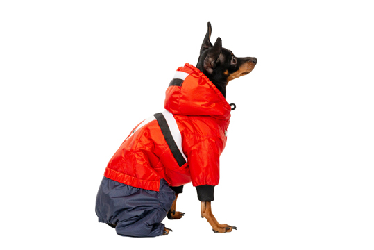 Siltināts suņu ziemas kombinezons ar kapuci,S