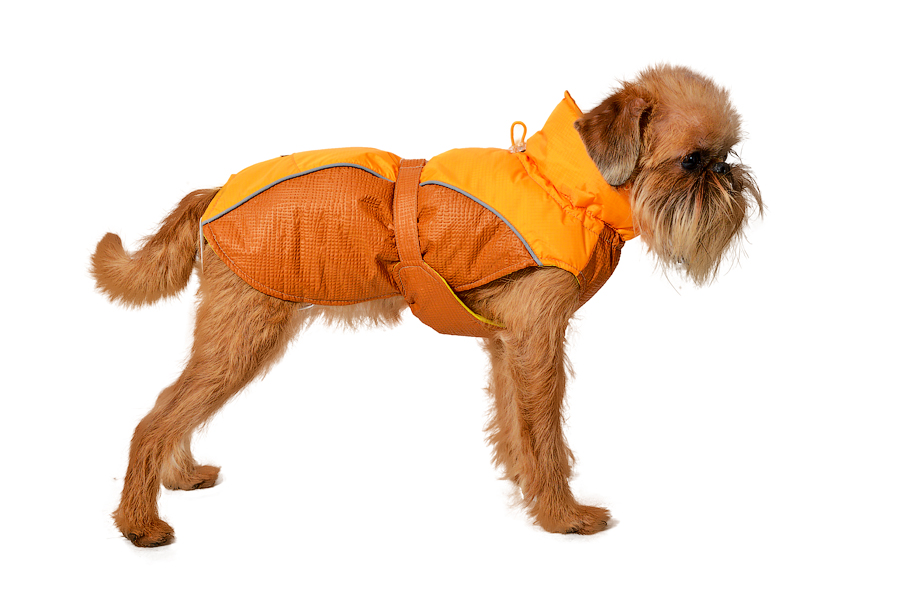 Aramis suņu ziemas veste-metēlis, S+M