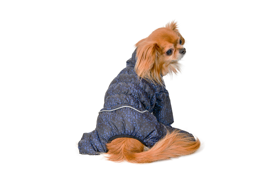 Aramis  suņu ziemas apģērbs.Siltināts ziemas suņu kombinezons, XS