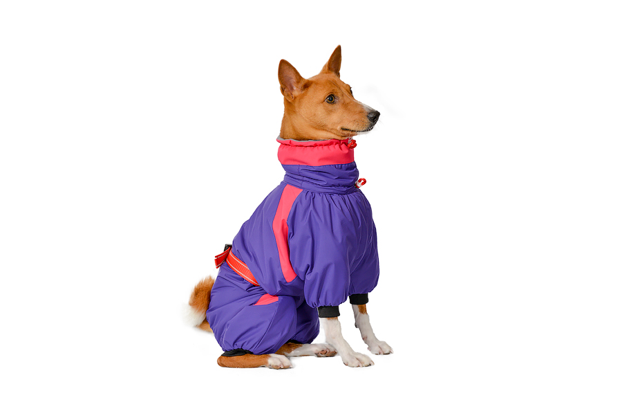 Aramis  suņu ziemas apģērbs.Siltināts ziemas suņu kombinezons, L