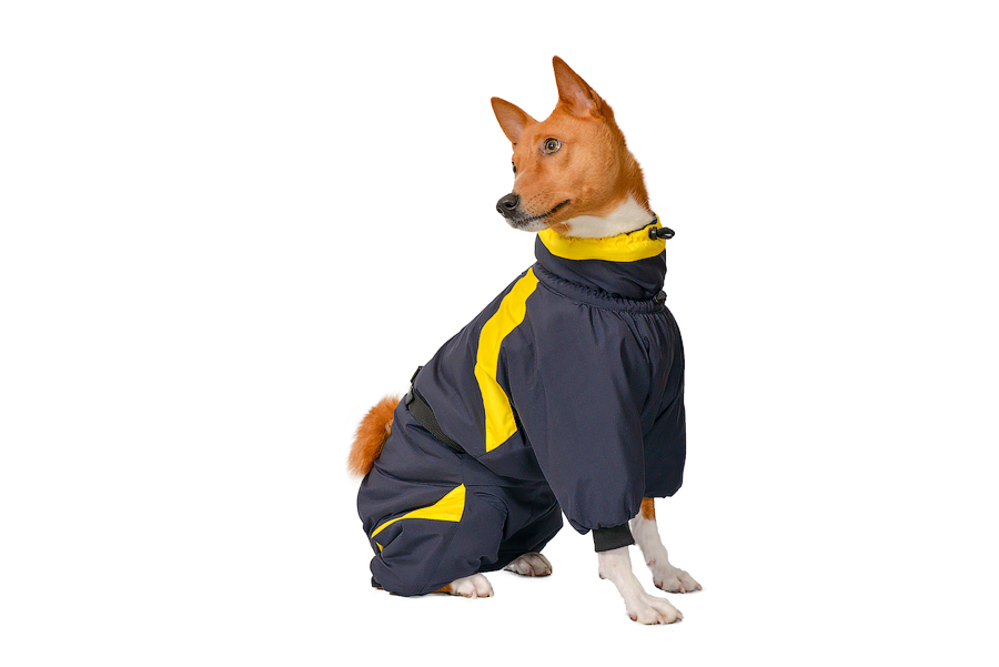 Aramis  suņu ziemas apģērbs.Siltināts ziemas suņu kombinezons, L