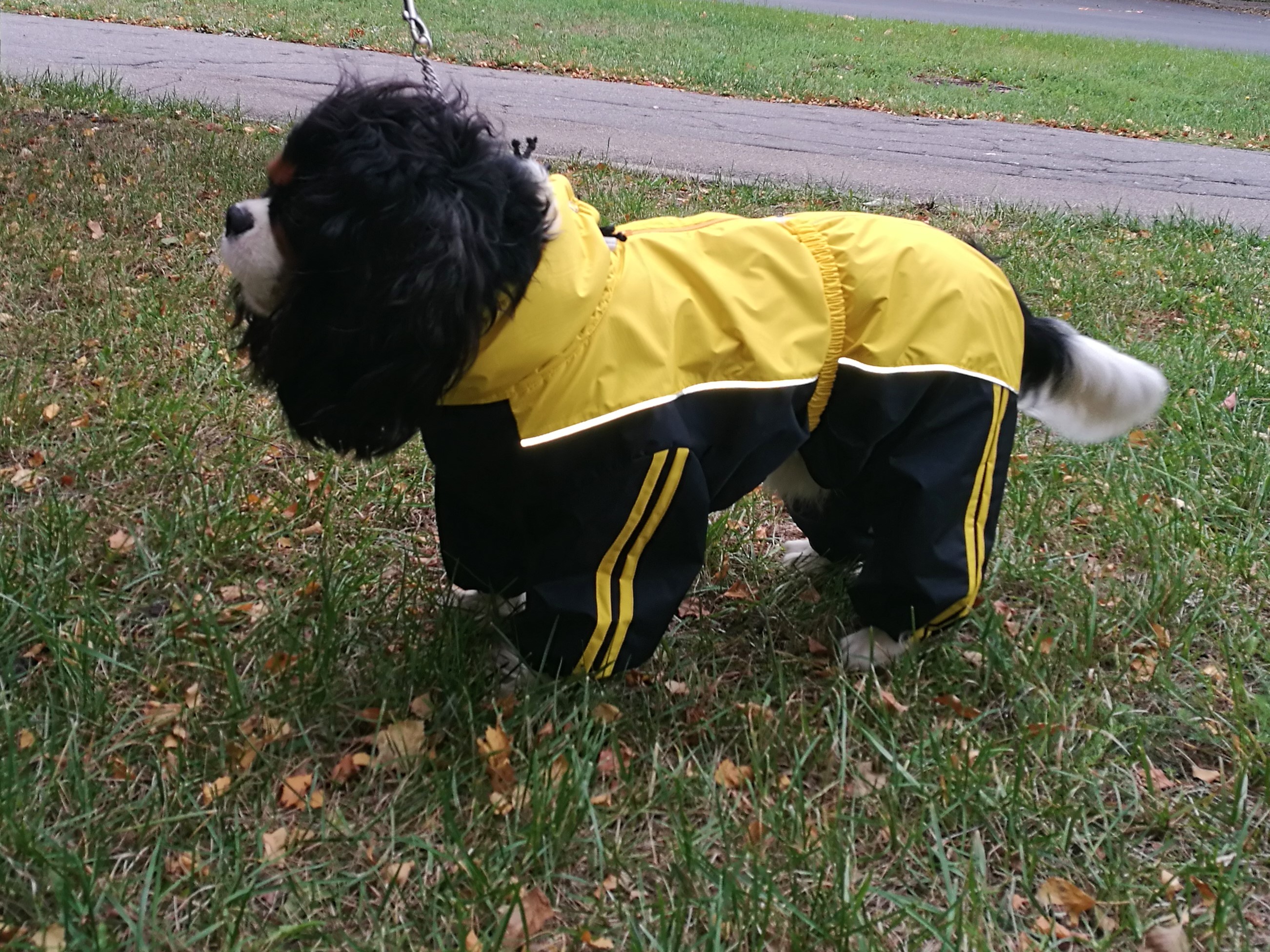 Aramis apģērbs suņiem. Ziemas suņu kombinezons-mētelis ar atstarotājiem, XL_product_product_product_product_product_product_pr Aramis apģērbs suņiem. Ziemas suņu kombinezons-mētelis ar atstarotājiem, M