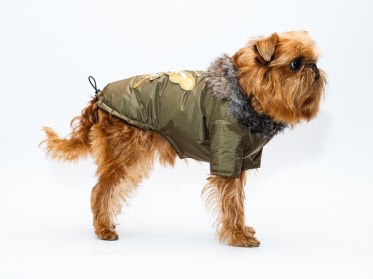 Aramis suņu apģērbs. Ziemas jaciņa ar taureni