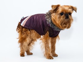 Aramis suņu apģērbs .Ziemas jaka ar atstarotāju
