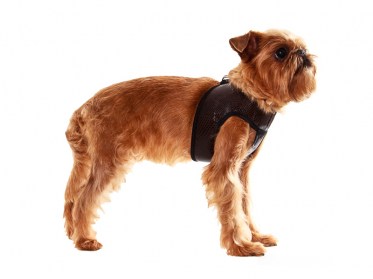 Suņu iejūgs (kaklasiksna) no  mākslīgās ādas 