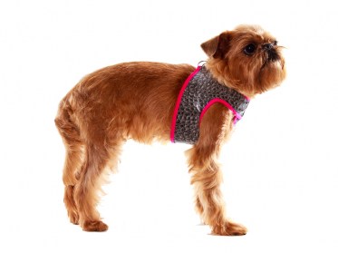 Suņu iejūgs (kaklasiksna) no  mākslīgās ādas