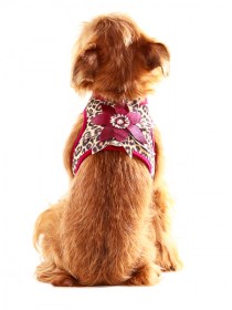 Suņu krūšu siksniņa ar puķi