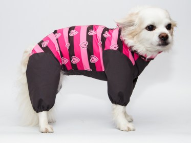 Suņu apģērbs lietainam laikam - lietusmētelis, M