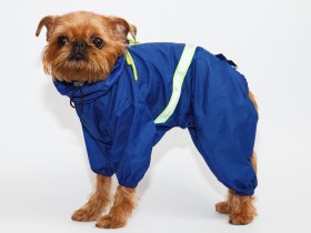 Aramis  suņu apģērbs  lietusmētelis ar kapuci, M