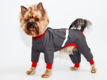 Aramis  suņu apģērbs -  lietusmētelis