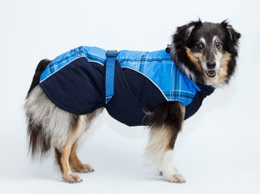 Aramis suņu ziemas veste-metēlis,XL