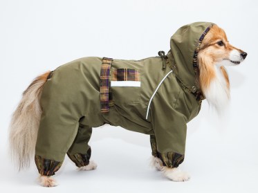 Suņu apģērbs lietainam laikam - lietusmētelis, XL