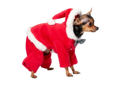 Ziemasssvētku kostīms sunītim, S