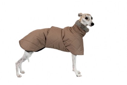 Aramis suņu ziemas veste-metēlis,XL