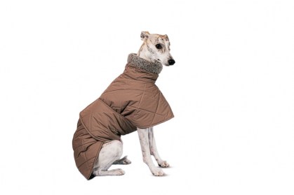 Aramis suņu ziemas veste-metēlis,XL