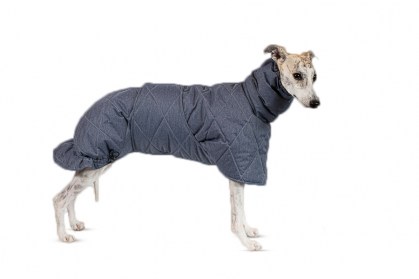 Aramis suņu ziemas veste-metēlis,XL