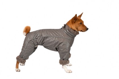 Aramis  suņu ziemas apģērbs.Siltināts ziemas suņu kombinezons, L