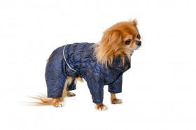 Aramis  suņu ziemas apģērbs.Siltināts ziemas suņu kombinezons, XS