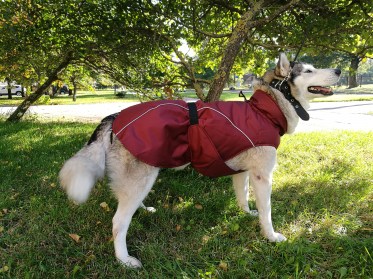 Aramis suņu ziemas veste-metēlis, XXXL